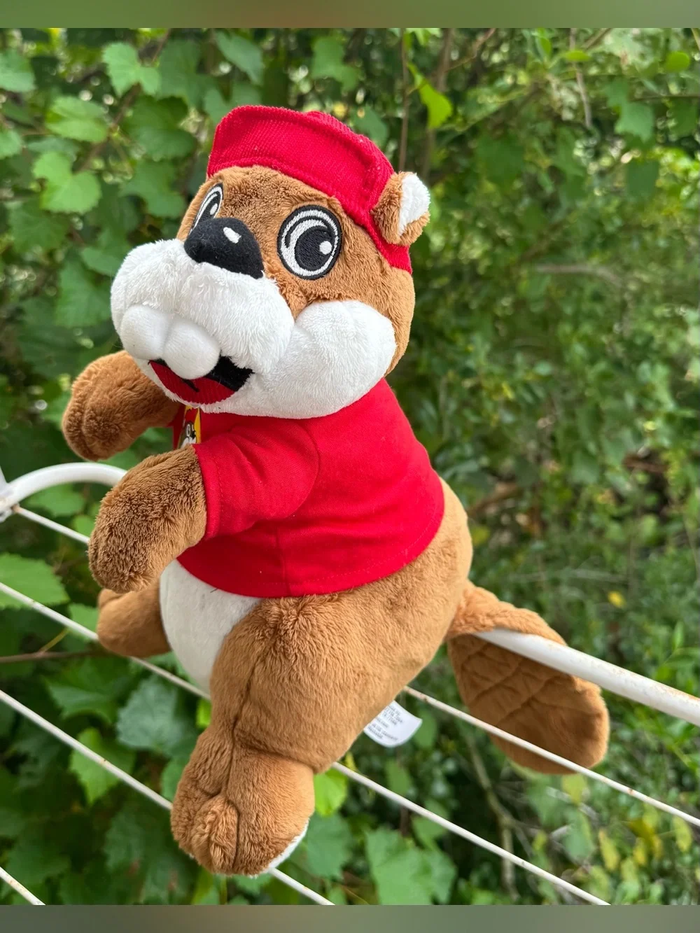 Buc-ees buc ee